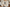 Stealing Snacks Png, Racoon Png, Moody Png, Digital Download